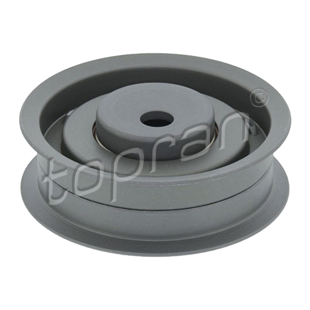 Topran Triger Gergi Rulmanı 026109243