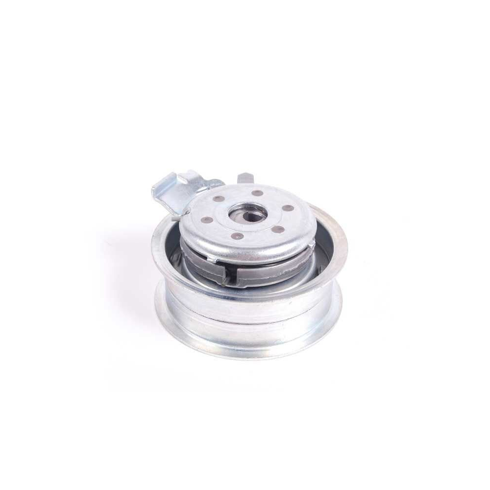Dayco Eksantrik Gergi Rulmanı VW Golf 4 - Golf 5 - Golf 6 - Bora - Jetta - A3 - Toledo - Leon 1.6 1997-2013 06A109479C