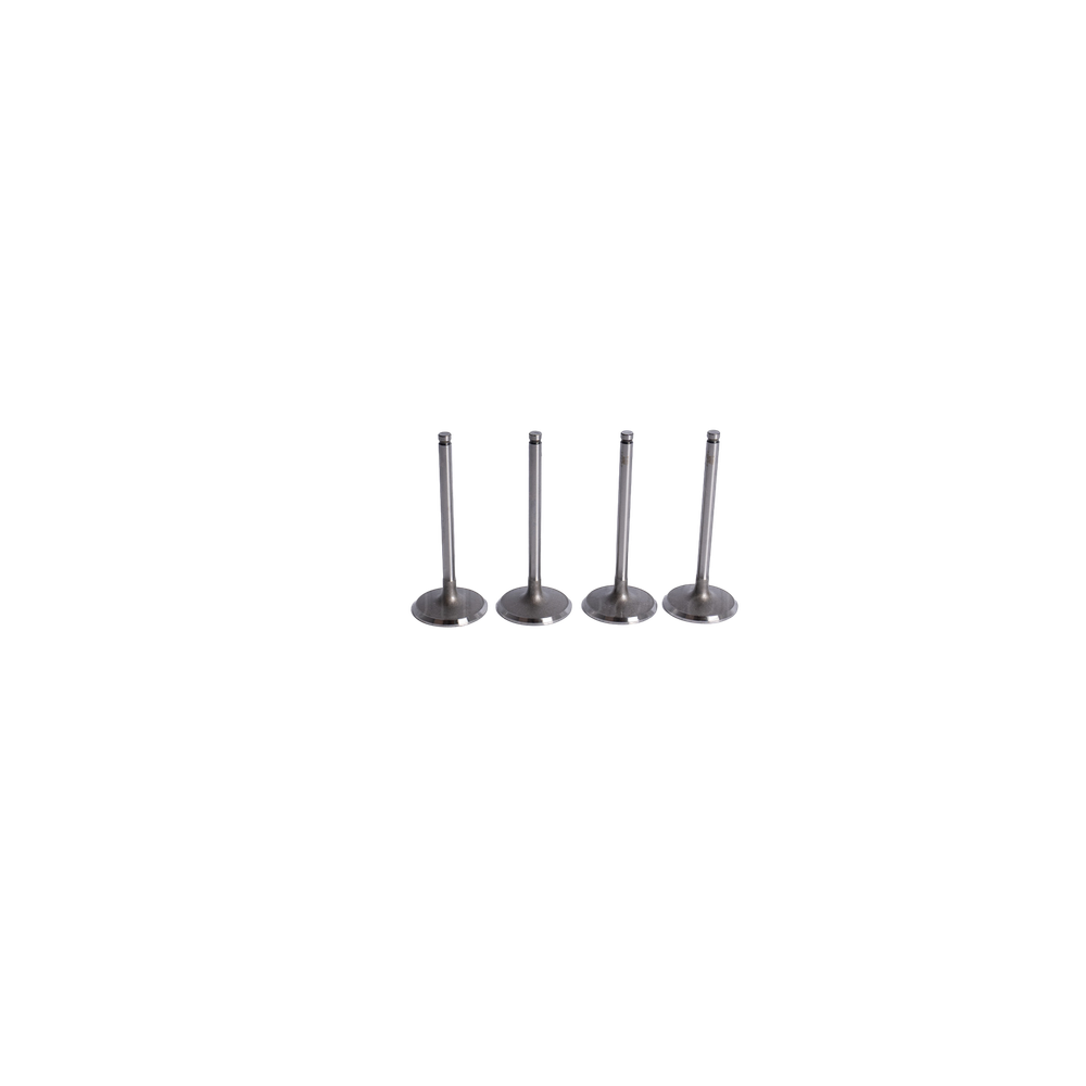 Subap Valfi Emme Opel Omega A - Vectra A - Astra F 1.8-2.0 8V 1986-1998 2110705