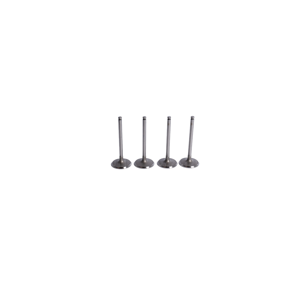 Subap Valfi Emme Opel Omega A - Vectra A - Astra F 1.8-2.0 8V 1986-1998 2110705