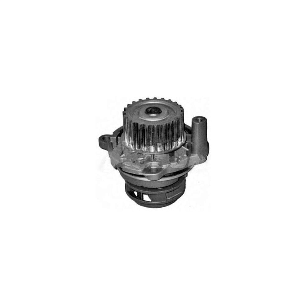 Graf Devirdaim Volkswagen Golf 4 Bora 1.6 16V - 980129