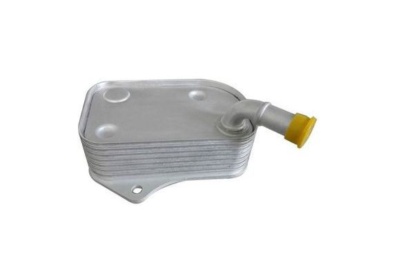 Yag Sogutucusu Passat A4 01-05 Bsg 06B117021