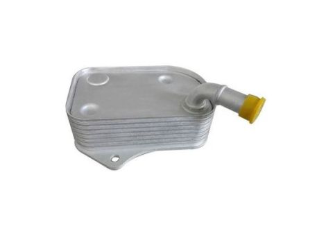 Yag Sogutucusu Passat A4 01-05 Bsg 06B117021