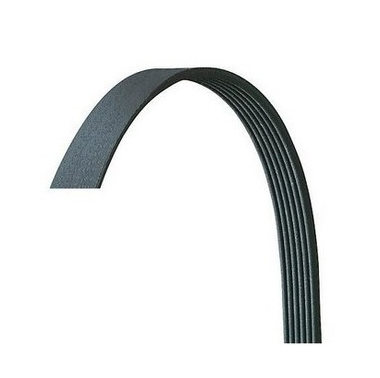 V Kayısı 9.5 X 865 Ford 206 307 207 C2 C3 Fıesta Dv4 6PK1700